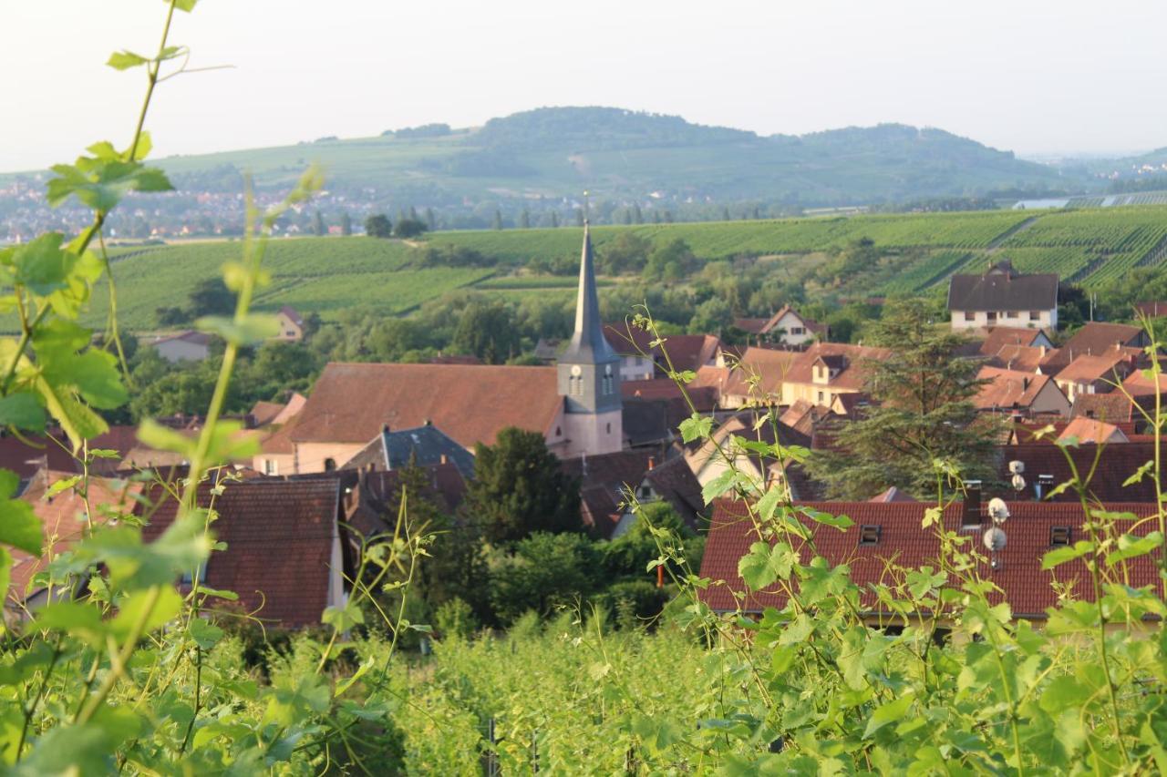 Superbe logement de 80m2 à L'orée des vignes Wangen Exterior foto